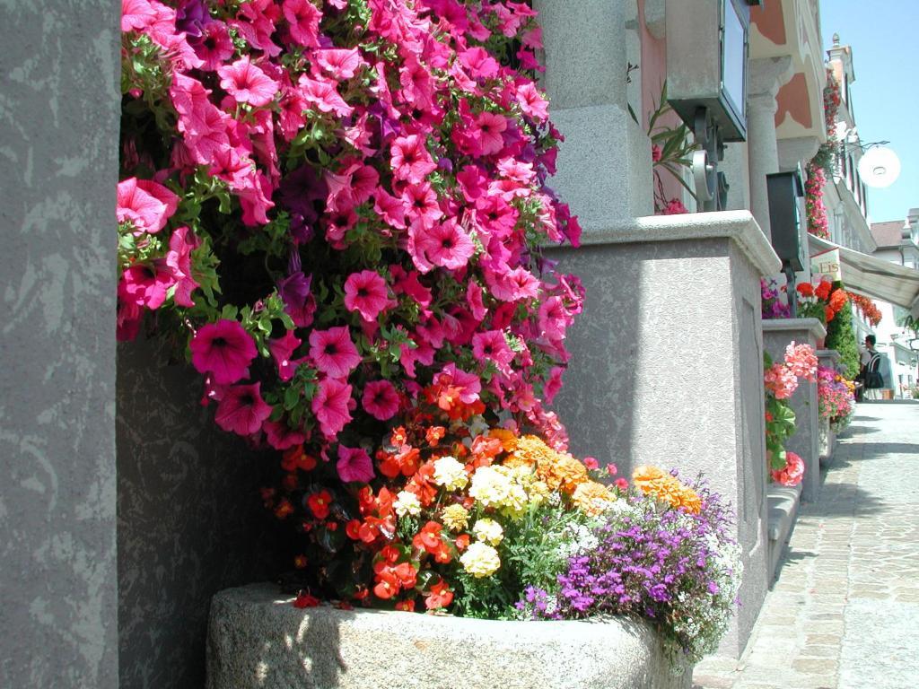 Hotel Sammer Neufelden Buitenkant foto