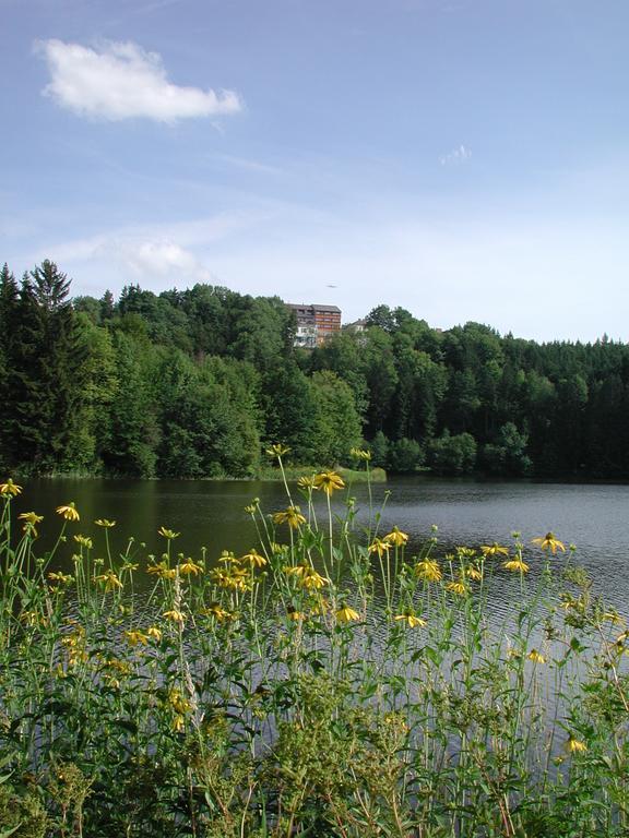 Hotel Sammer Neufelden Buitenkant foto